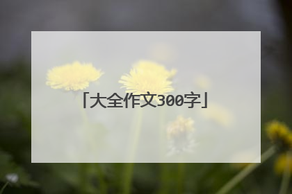 大全作文300字