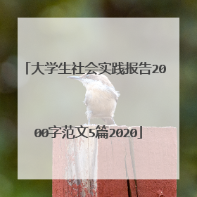 大学生社会实践报告2000字范文5篇2020