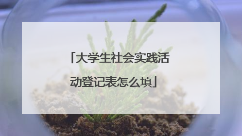 大学生社会实践活动登记表怎么填