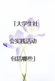 大学生社会实践活动包括哪些