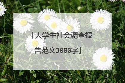 大学生社会调查报告范文3000字