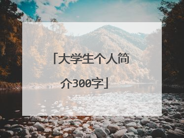 大学生个人简介300字