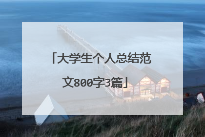 大学生个人总结范文800字3篇