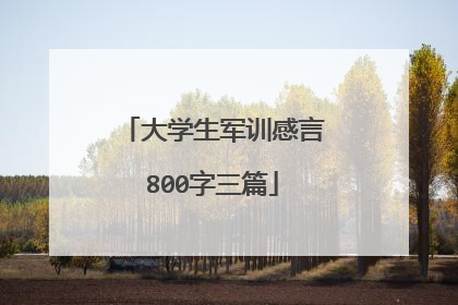 大学生军训感言800字三篇