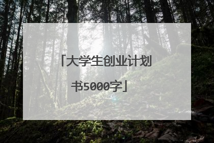 大学生创业计划书5000字