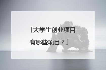 大学生创业项目有哪些项目？