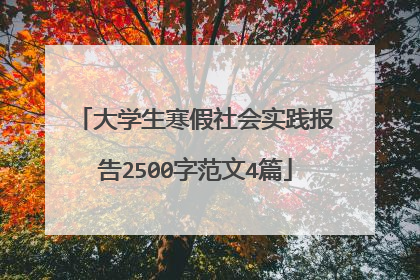 大学生寒假社会实践报告2500字范文4篇