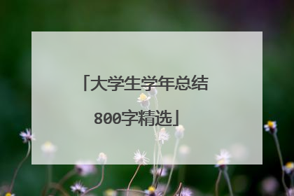 大学生学年总结800字精选