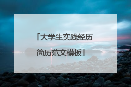 大学生实践经历简历范文模板