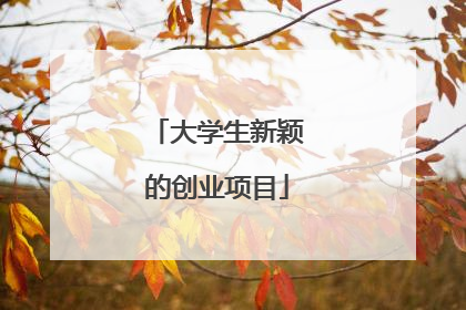 大学生新颖的创业项目