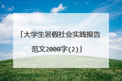 大学生暑假社会实践报告范文2000字(2)