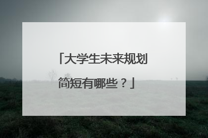 大学生未来规划简短有哪些？