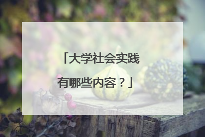 大学社会实践有哪些内容?