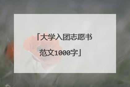 大学入团志愿书范文1000字