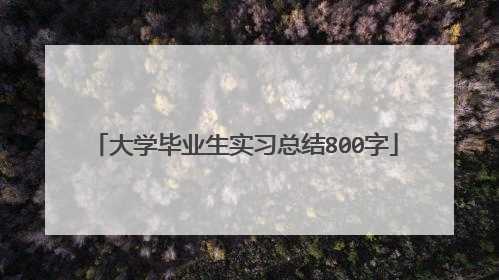 大学毕业生实习总结800字