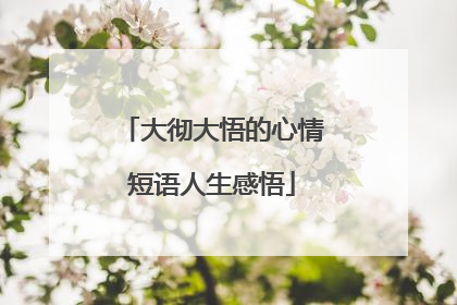 大彻大悟的心情短语人生感悟