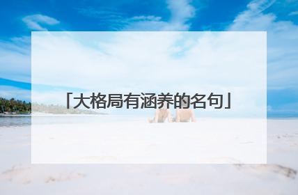 大格局有涵养的名句