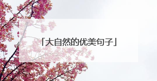 大自然的优美句子
