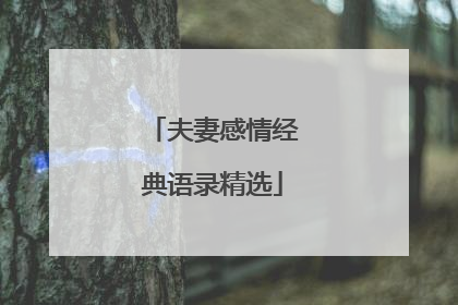 夫妻感情经典语录精选
