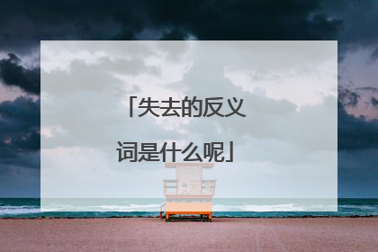 失去的反义词是什么呢