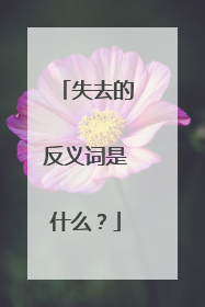 失去的反义词是什么？