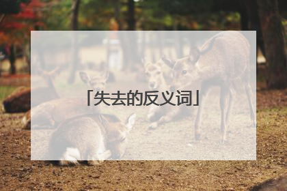 失去的反义词