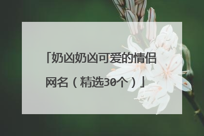 奶凶奶凶可爱的情侣网名(精选30个)