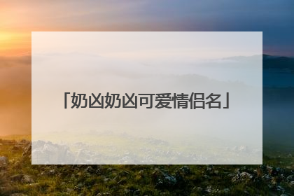 奶凶奶凶可爱情侣名