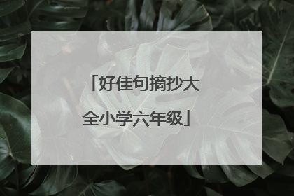 好佳句摘抄大全小学六年级