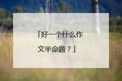 好一个什么作文半命题?