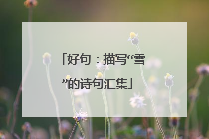 好句:描写“雪”的诗句汇集