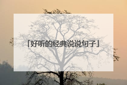 好听的经典说说句子