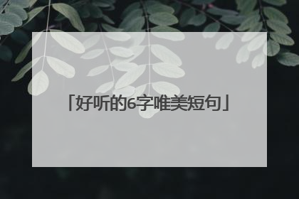 好听的6字唯美短句