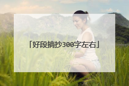 好段摘抄300字左右