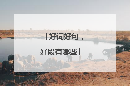 好词好句,好段有哪些