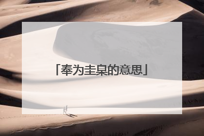 奉为圭臬的意思
