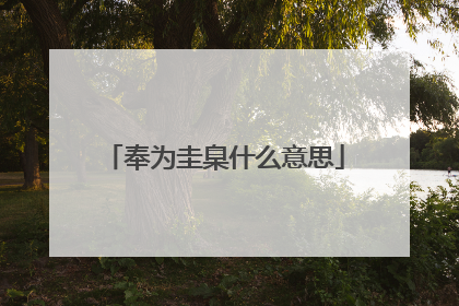 奉为圭臬什么意思