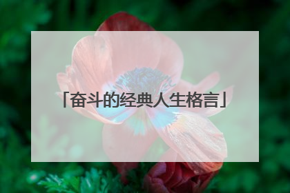 奋斗的经典人生格言