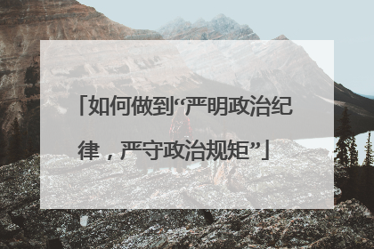 如何做到“严明政治纪律，严守政治规矩”