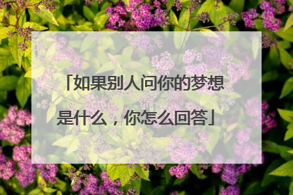 如果别人问你的梦想是什么，你怎么回答