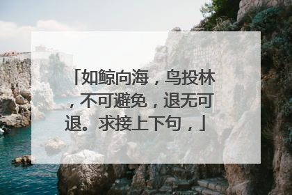 如鲸向海,鸟投林,不可避免,退无可退。求接上下句,