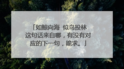 如鲸向海 似鸟投林 这句话来自哪,有没有对应的下一句,跪求。