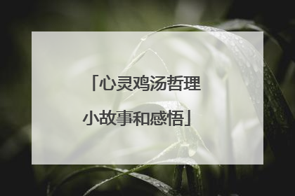 心灵鸡汤哲理小故事和感悟
