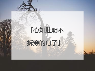 心知肚明不拆穿的句子