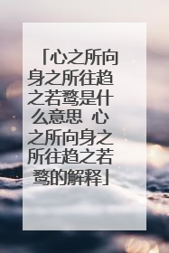 心之所向身之所往趋之若鹜是什么意思 心之所向身之所往趋之若鹜的解释