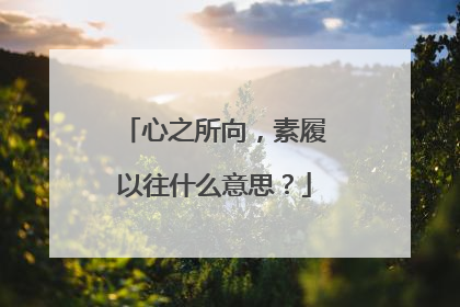 心之所向，素履以往什么意思？