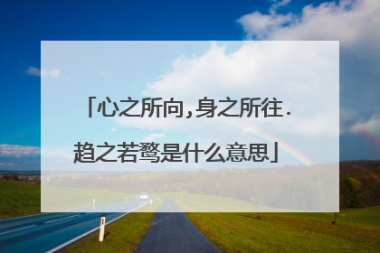 心之所向,身之所往.趋之若鹜是什么意思