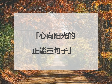 心向阳光的正能量句子