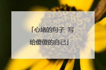 心堵的句子 写给傻傻的自己