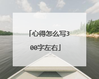 心得怎么写300字左右